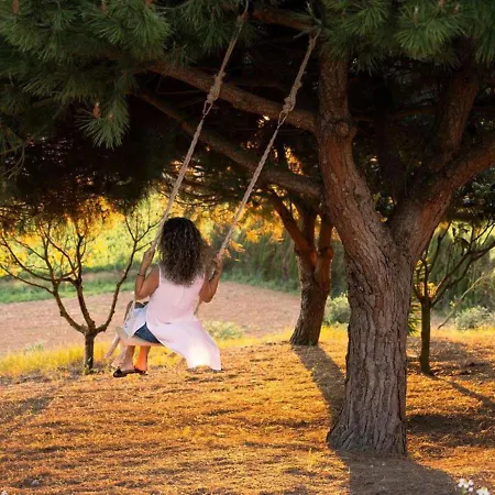 Villa Altus Near Ericeira With Swimming Pool, Jacuzzi And 2 Games *